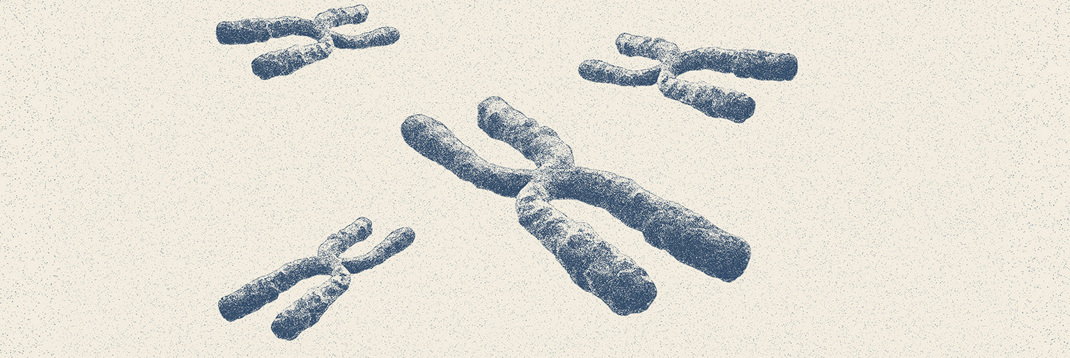 Is Penis Size Genetic? What Science Says About Penis Size Lynk Is Penis Size Genetic? What Science Says About Penis Size Lynk