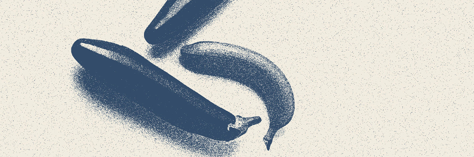 The Human Penis: Everything There is to Know About It