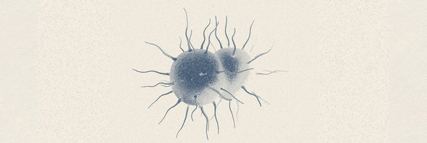 Can Sexually Transmitted Infections (STDs/STIs) Cause ED? Here's What You Need to Know