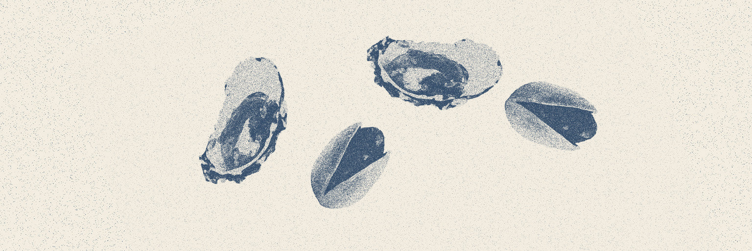 15 Most Popular Aphrodisiacs for Men: Which Ones Actually Work?