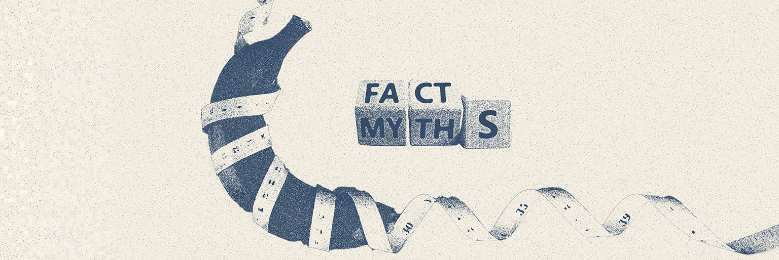 Penis Enlargement Myths: What's Right, What's Wrong, and What's Dangerous