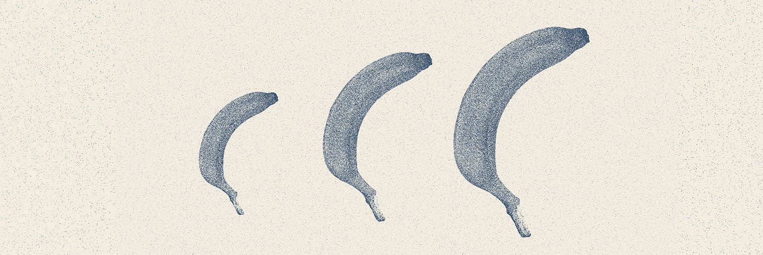 When Does Your Penis Stop Growing?